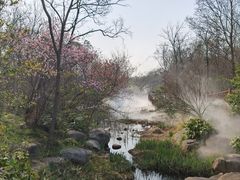-江苏三台山国家森林公园