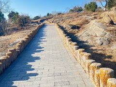 -白水寺森林公园