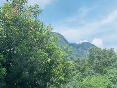 -武夷山旧街壹号溪岸旅馆(三姑度假区店)