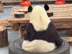 -无锡动物园·太湖欢乐园