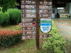 -碧海金沙