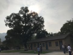 -延安杨家岭革命旧址