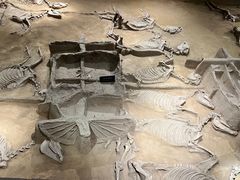 -洛阳周王城天子驾六博物馆