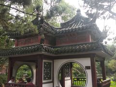 -陈家山荷花公园