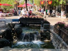 -蓝壁虎咖啡酒馆