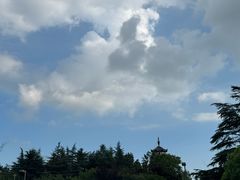 -桃花岛公园