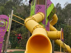 -厦门艾美酒店·新食谱西餐厅