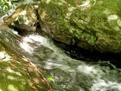 -夏霖九天银瀑风景区