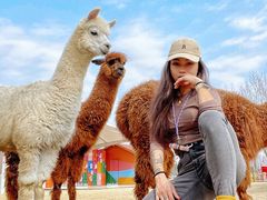 -太阳岛度假酒店