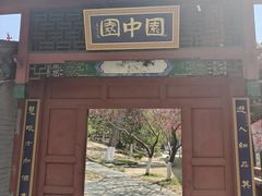 -桃花堤公园