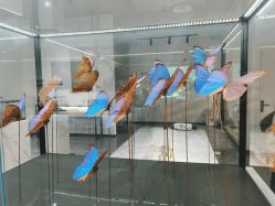 -酷嗒动物文化乐园(cutezoo西溪乐天城店)