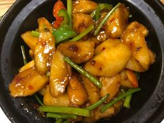 猴头菇问山药-素行天下(国投财富广场店)