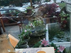 -多米餐厅(文涵路店)