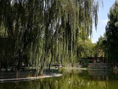 -西安市长乐公园