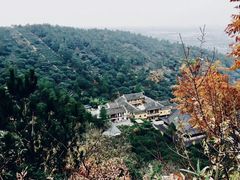 -树山生态村