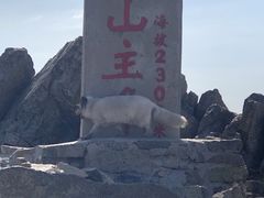 -灵山