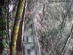 -九龙江国家森林公园