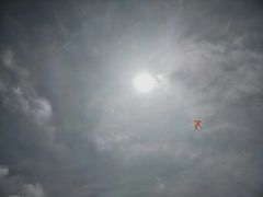 -瑶湖郊野森林公园