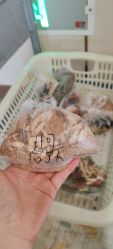 -梓爱月子中心(花都店)