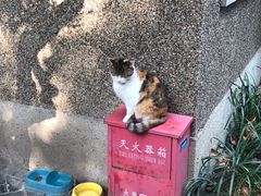 -巴金故居