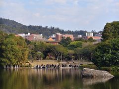 -厦门大学(思明校区)