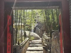 -老张烤羊(王哥庄店)