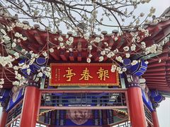 -北京西山国家森林公园