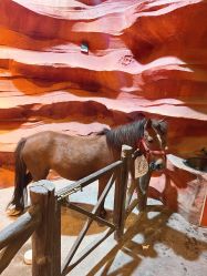 -酷嗒动物文化乐园(cutezoo西溪乐天城店)