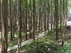 -山王坪喀斯特国家生态公园