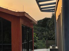 -广西壮族自治区药用植物园