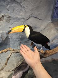 -Zoolung Zoolung动物主题公园(海信广场店)