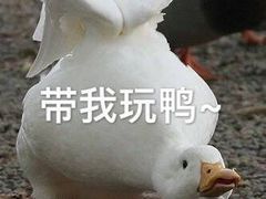-阿甘锅盔(合生汇购物中心店)