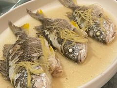 姜丝蒸黄脚立鱼-花城苑广府菜(侨鑫店)