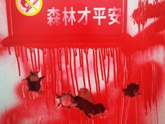 -怦然秘事游戏体验馆(银座和谐广场店)