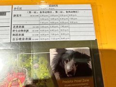 -清迈夜间动物园