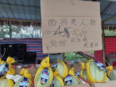 -秀丽东方