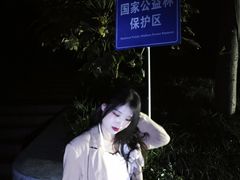 -紫金山山顶公园