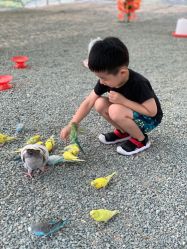 -萌宠亲子动物乐园(槐房万达店)