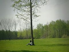 -黄海国家森林公园