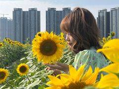 -光明小镇欢乐田园