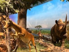 -国家自然博物馆