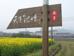 -天下银坑