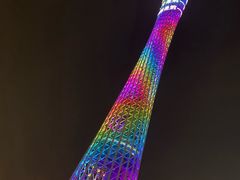 -珠江夜游广州塔·中大码头