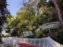 -金鸡山公园