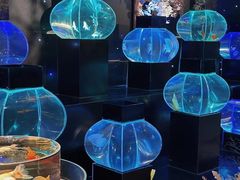-海合安青岛极地海洋公园