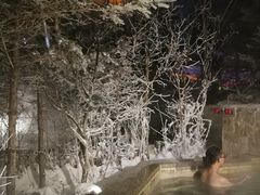 -汉拿山温泉度假酒店