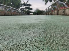 -红梅公园
