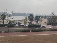 -九龙湖公园