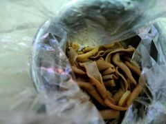 -巴蜀王氏现捞(五大花园店)