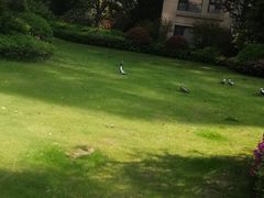 -象屿大宁悦府